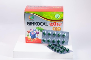 Tại sao Ginkgo Extra Q10 lại là người bạn đồng hành cho não bộ khỏe mạnh?