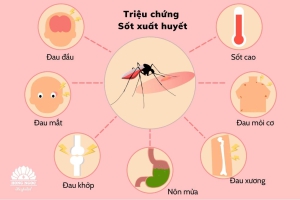 Các biện pháp phòng tránh sốt xuất huyết