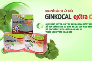 ALD GINKOCAL EXTRA Q10