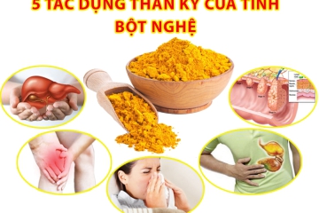 NHỮNG CÔNG DỤNG THẦN KÌ TỪ CỦ NGHỆ 