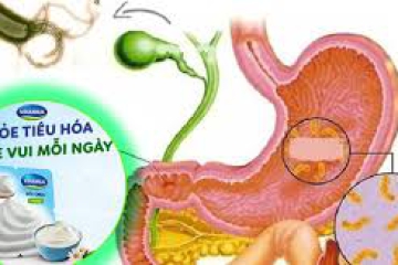 BÁC SĨ CHỈ CÁCH CẢI THIỆN SỨC KHỎE ĐƯỜNG RUỘT