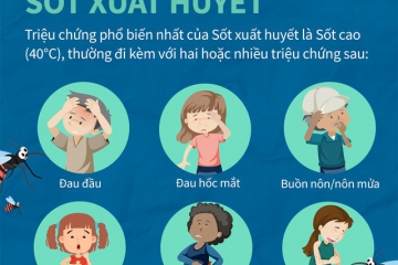 Sốt xuất huyết có nguy hiểm không?